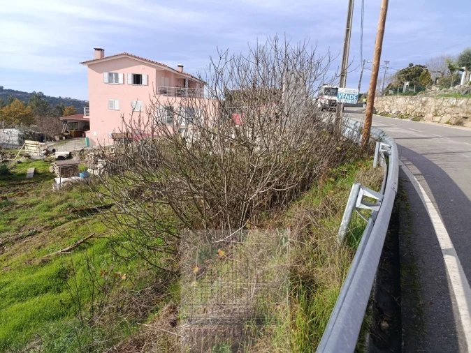 Terreno para Venda em Lagares Foto 15