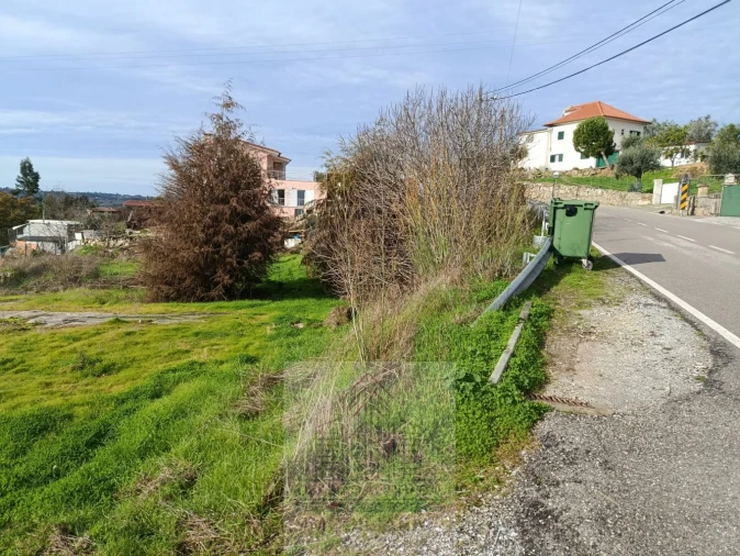Terreno para Venda em Lagares Foto 14