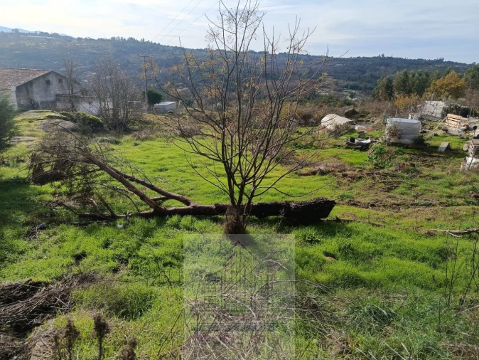 Terreno para Venda em Lagares Foto 7
