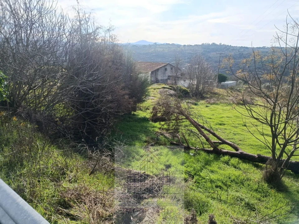 Terreno para Venda em Lagares Foto 11