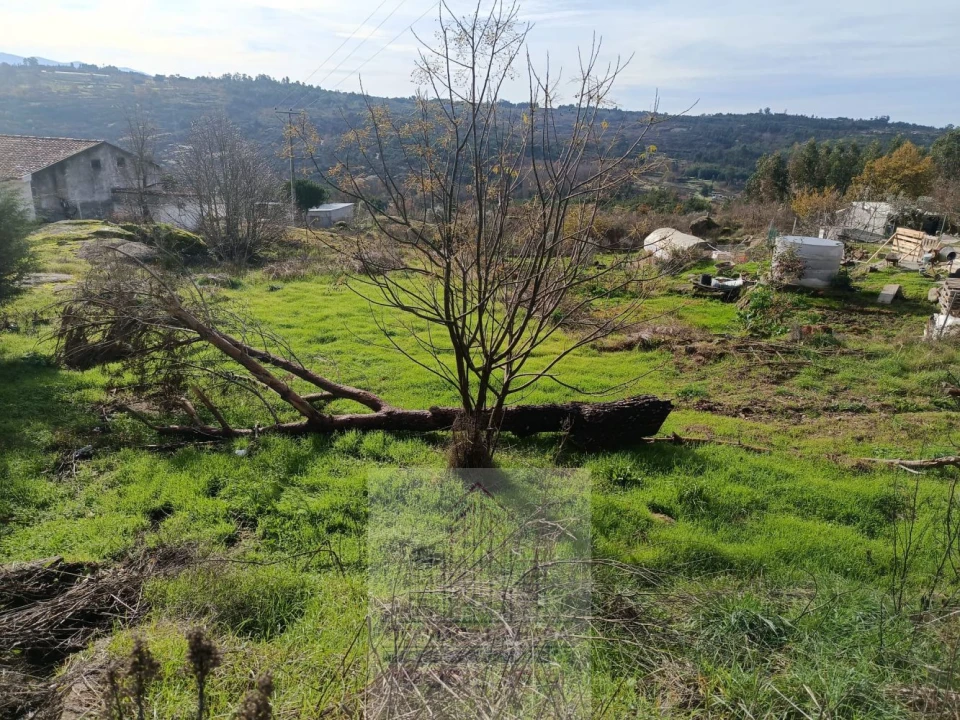 Terreno para Venda em Lagares Foto 7