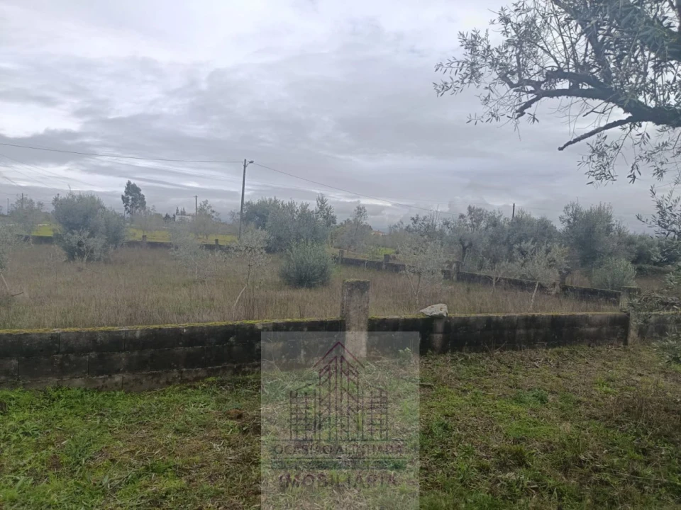 Terreno para Venda em Travanca de Lagos Foto 24