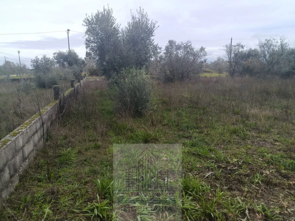 Terreno para Venda em Travanca de Lagos Foto 17