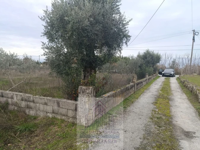 Terreno para Venda em Travanca de Lagos Foto 18