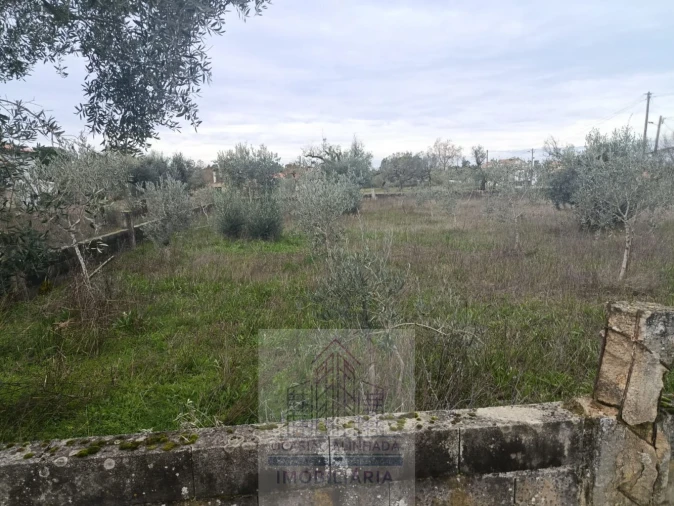 Terreno para Venda em Travanca de Lagos Foto 10
