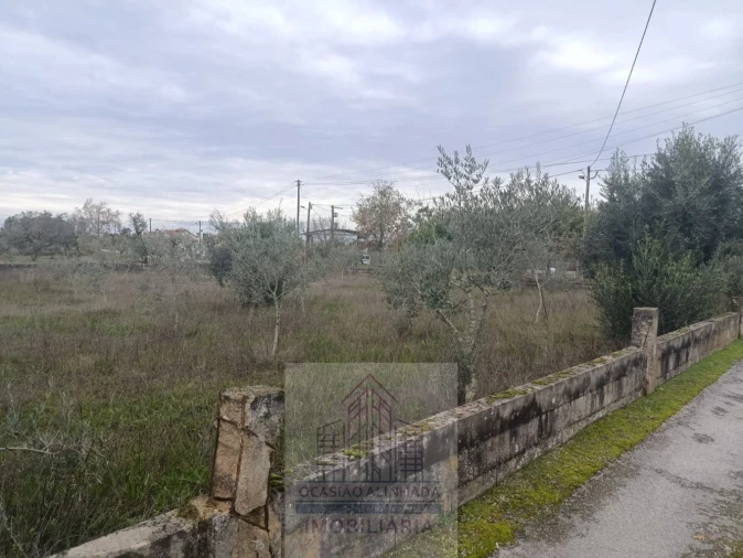 Terreno para Venda em Travanca de Lagos Foto 9