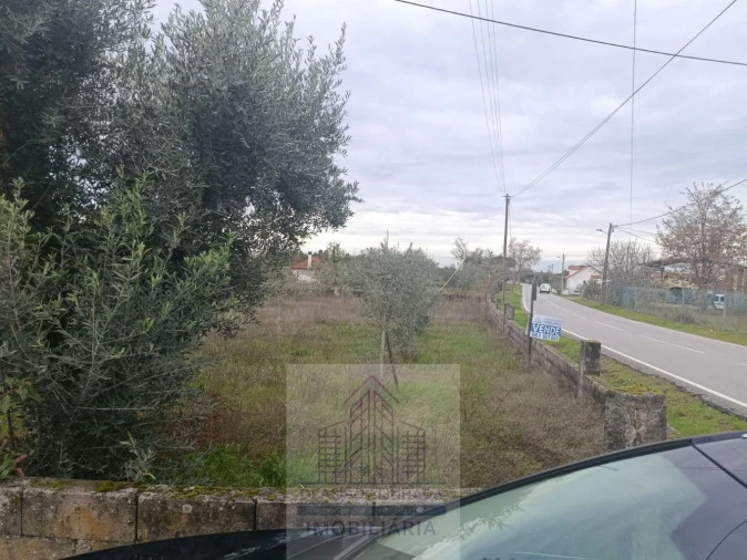 Terreno para Venda em Travanca de Lagos Foto 3