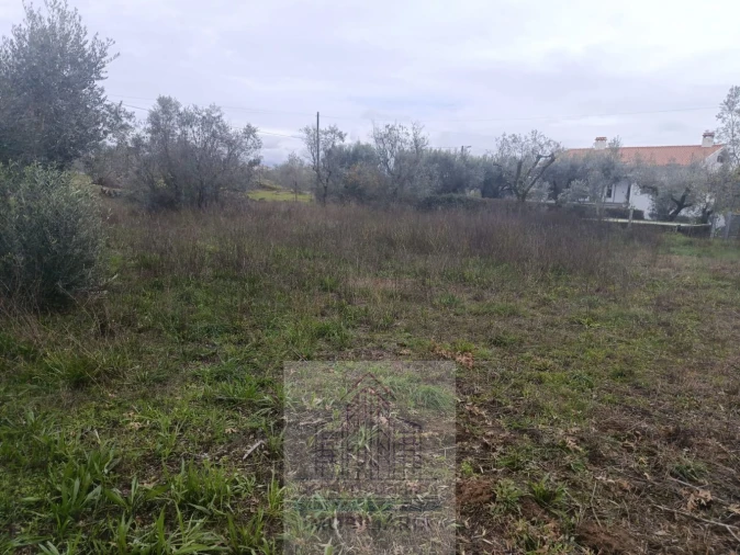 Terreno para Venda em Travanca de Lagos Foto 16