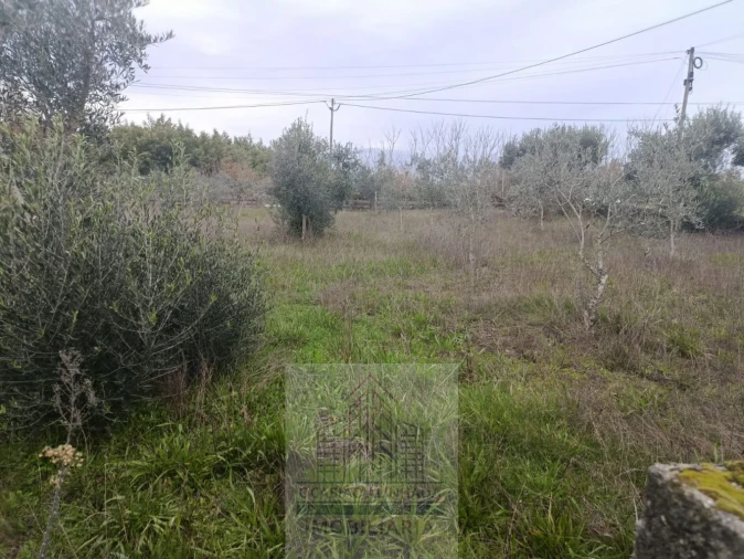 Terreno para Venda em Travanca de Lagos Foto 13