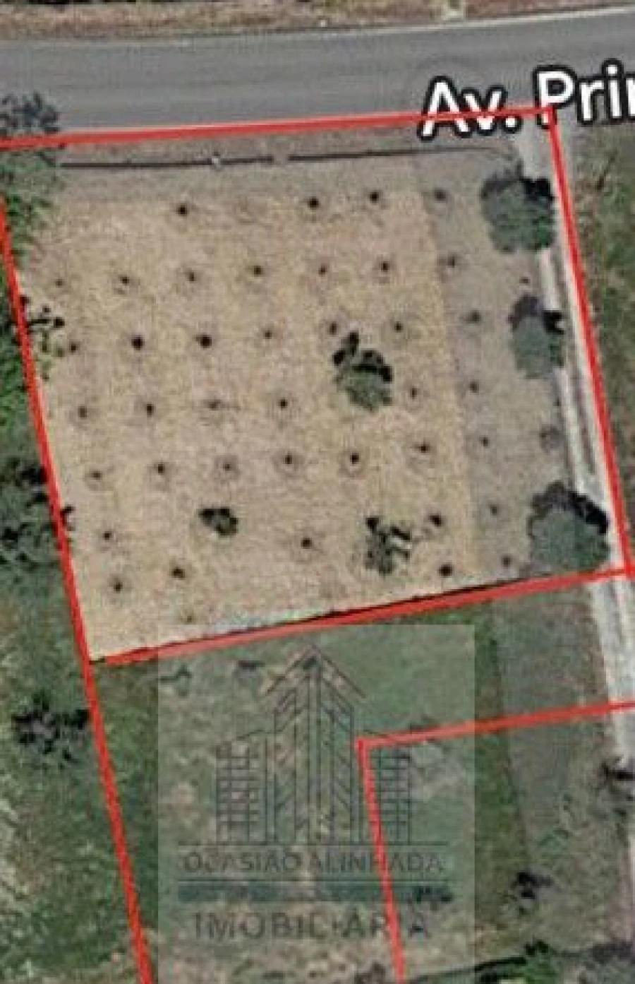 Terreno para Venda em Travanca de Lagos Foto 2