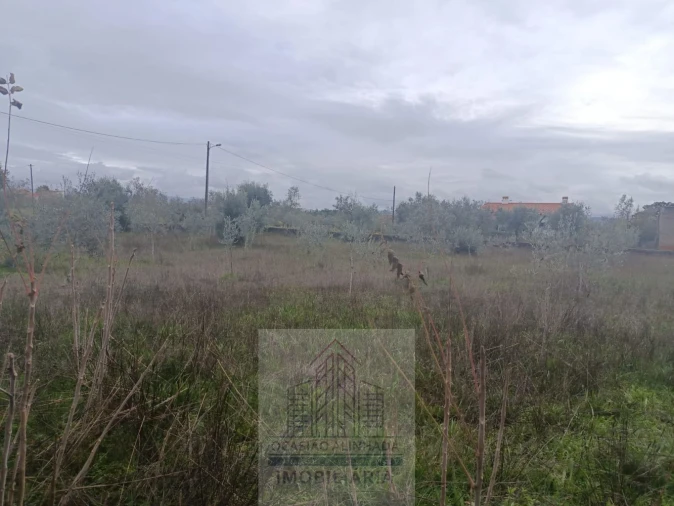 Terreno para Venda em Travanca de Lagos Foto 23