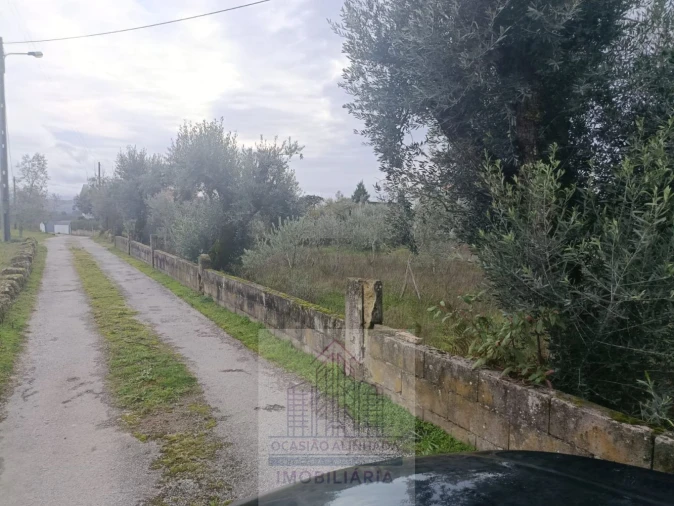 Terreno para Venda em Travanca de Lagos Foto 6