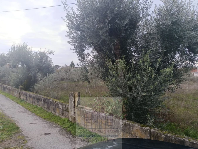 Terreno para Venda em Travanca de Lagos Foto 4