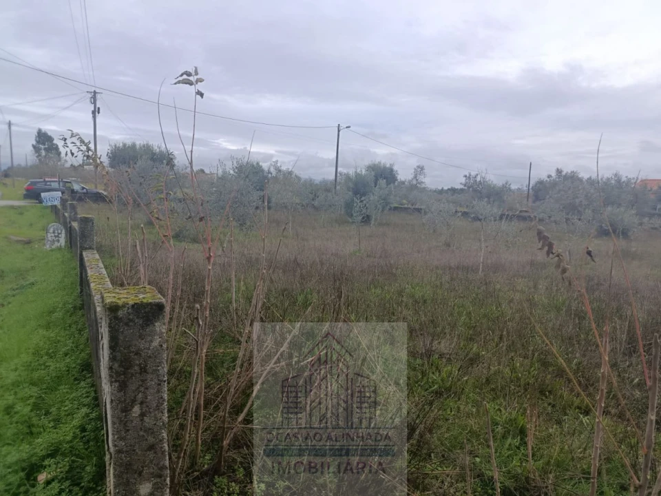 Terreno para Venda em Travanca de Lagos Foto 29