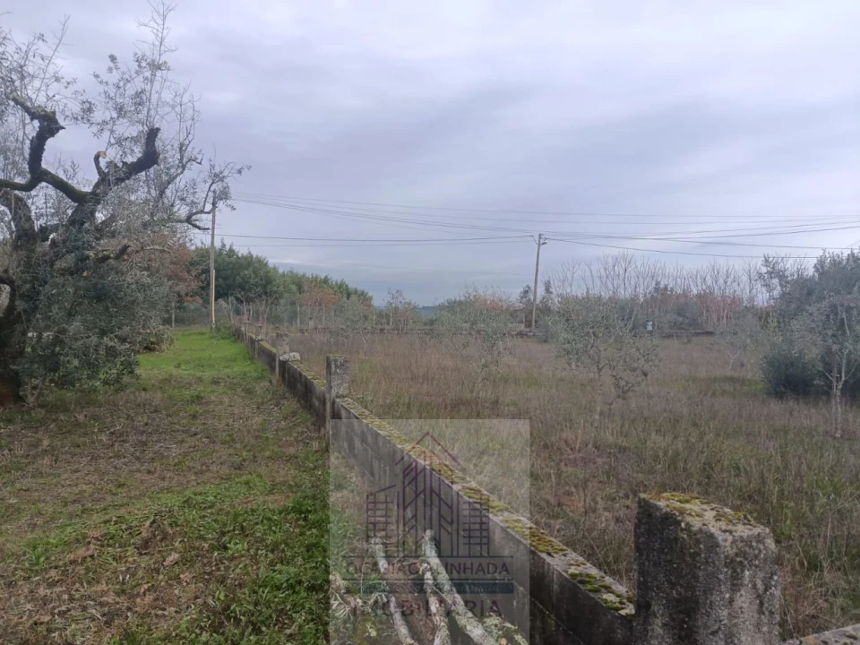 Terreno para Venda em Travanca de Lagos Foto 14