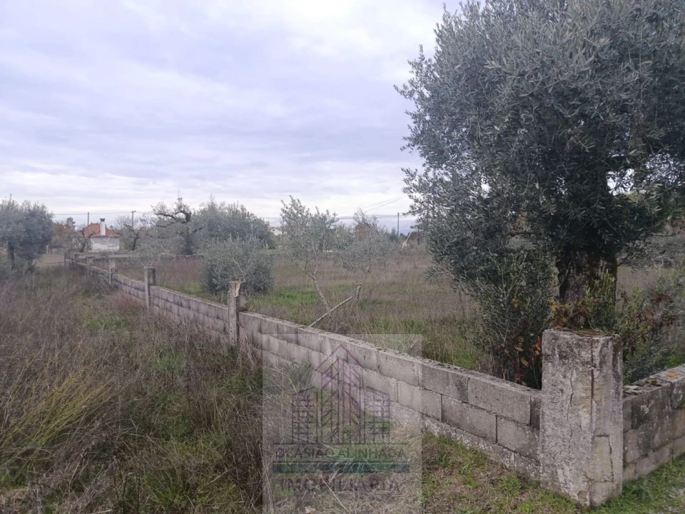 Terreno para Venda em Travanca de Lagos Foto 11