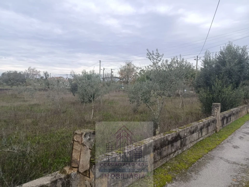 Terreno para Venda em Travanca de Lagos Foto 9