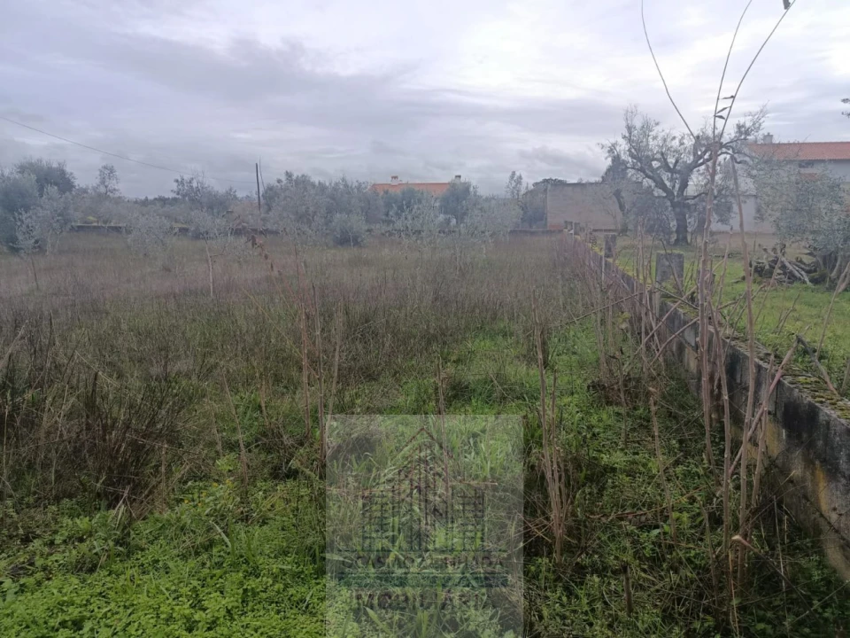 Terreno para Venda em Travanca de Lagos Foto 25