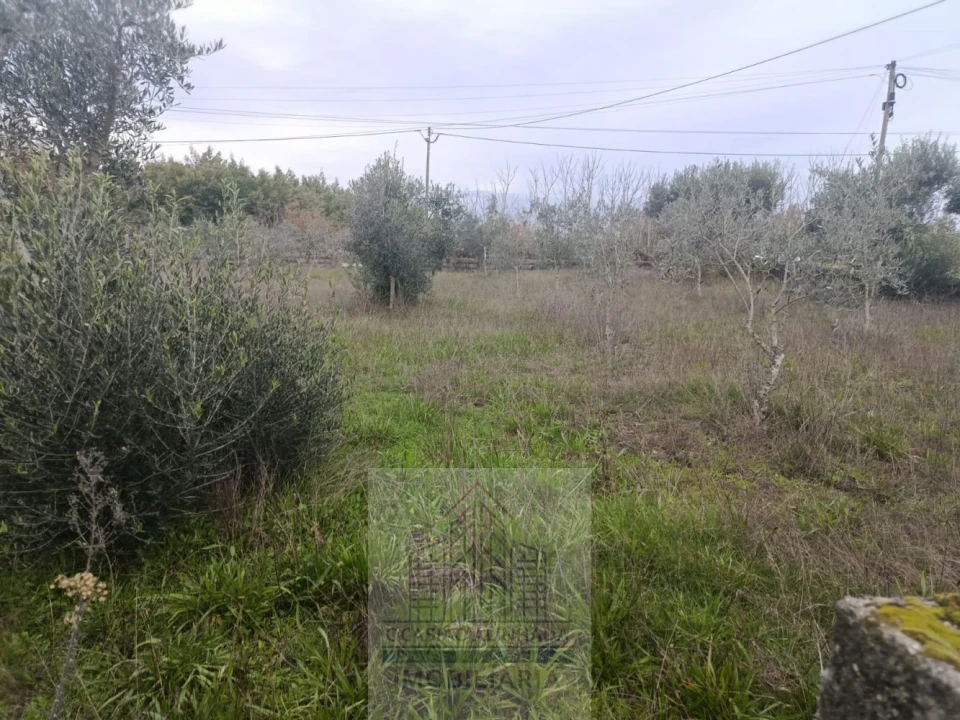 Terreno para Venda em Travanca de Lagos Foto 13