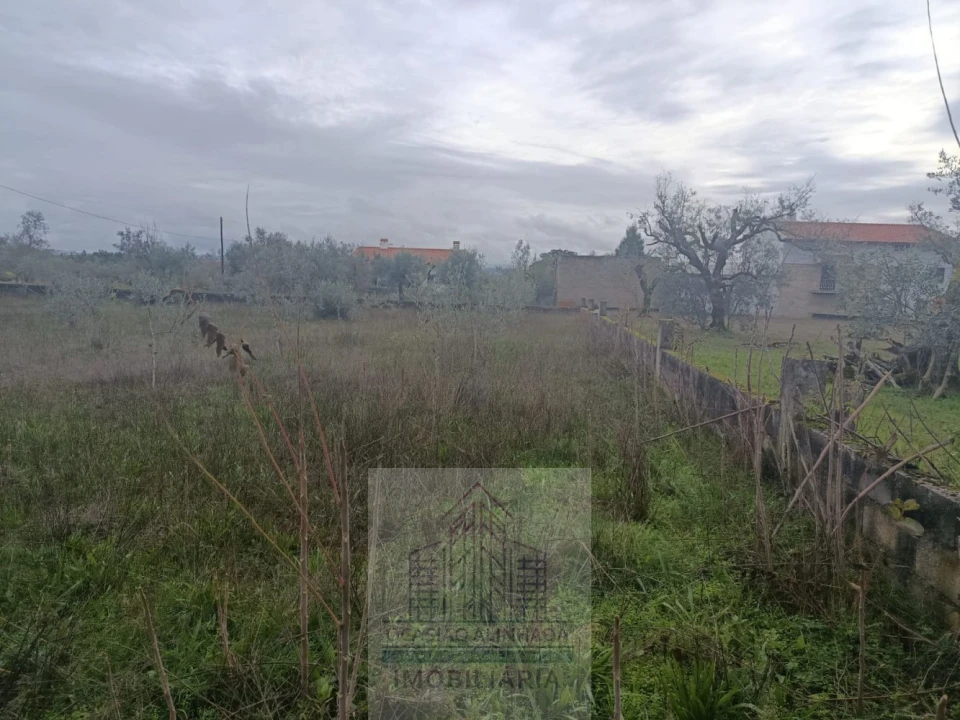 Terreno para Venda em Travanca de Lagos Foto 22