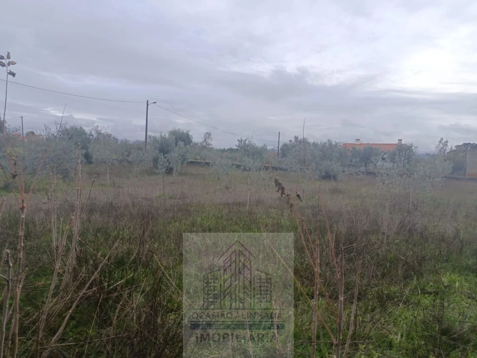 Terreno para Venda em Travanca de Lagos Foto 23