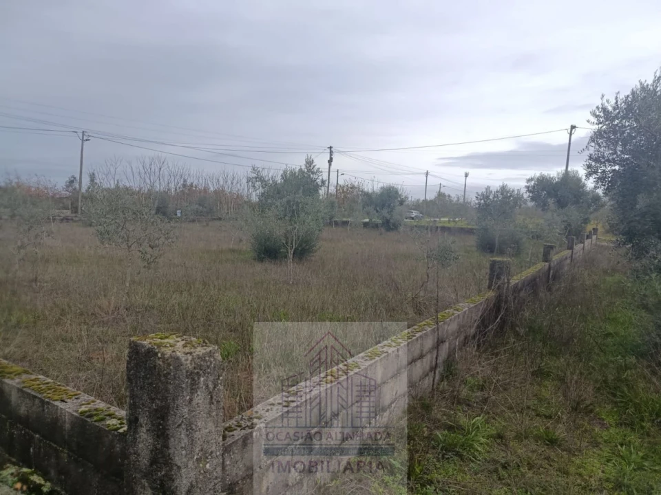 Terreno para Venda em Travanca de Lagos Foto 15