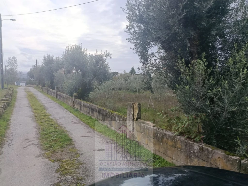 Terreno para Venda em Travanca de Lagos Foto 6
