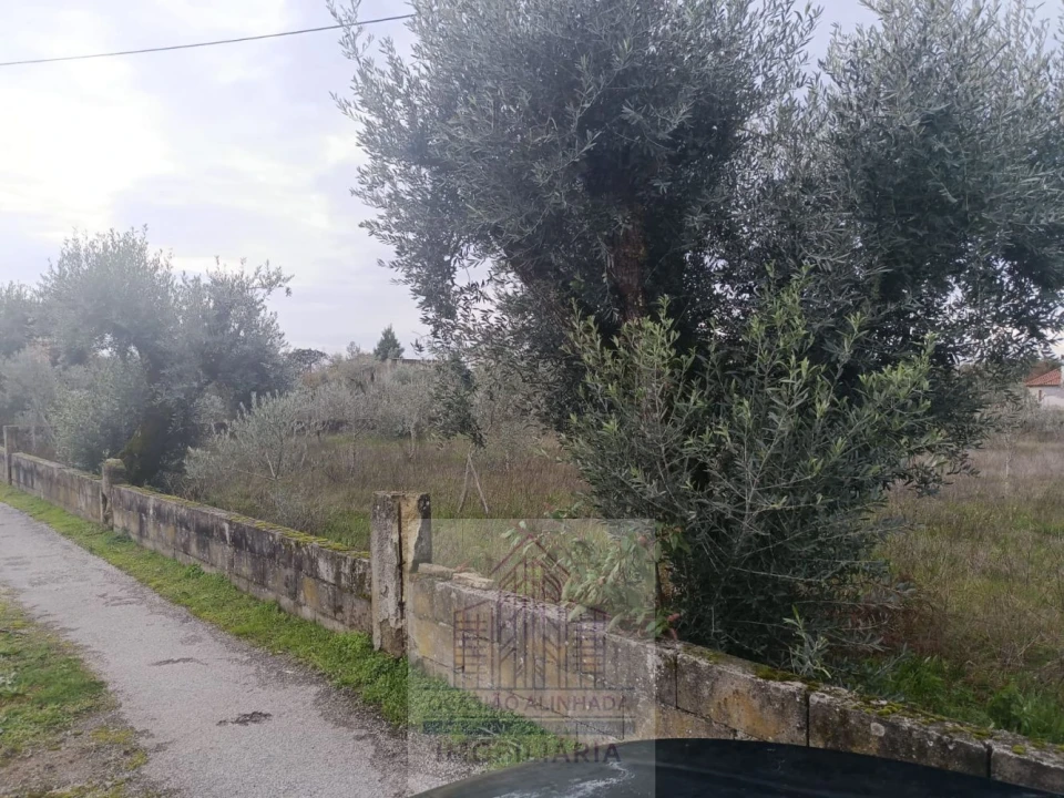 Terreno para Venda em Travanca de Lagos Foto 4