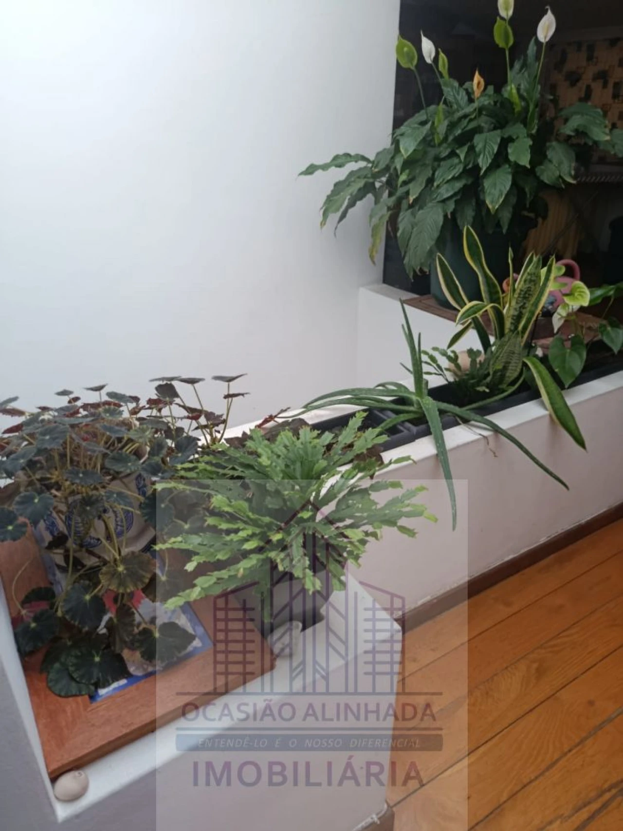 Apartamento T5 para Venda em Oliveira do Hospital e São Paio de Gramaços Foto 1