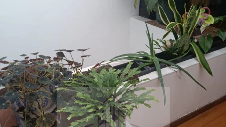 Apartamento T5 para Venda em Oliveira do Hospital e São Paio de Gramaços