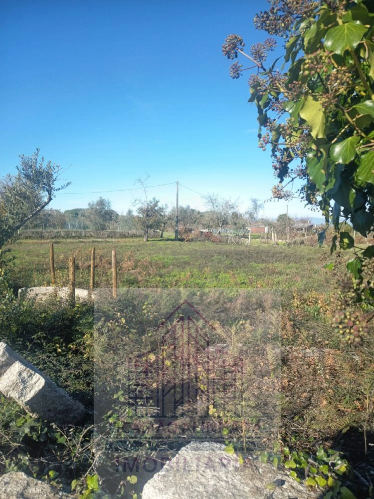 Terreno para Venda em Lagares Foto 1