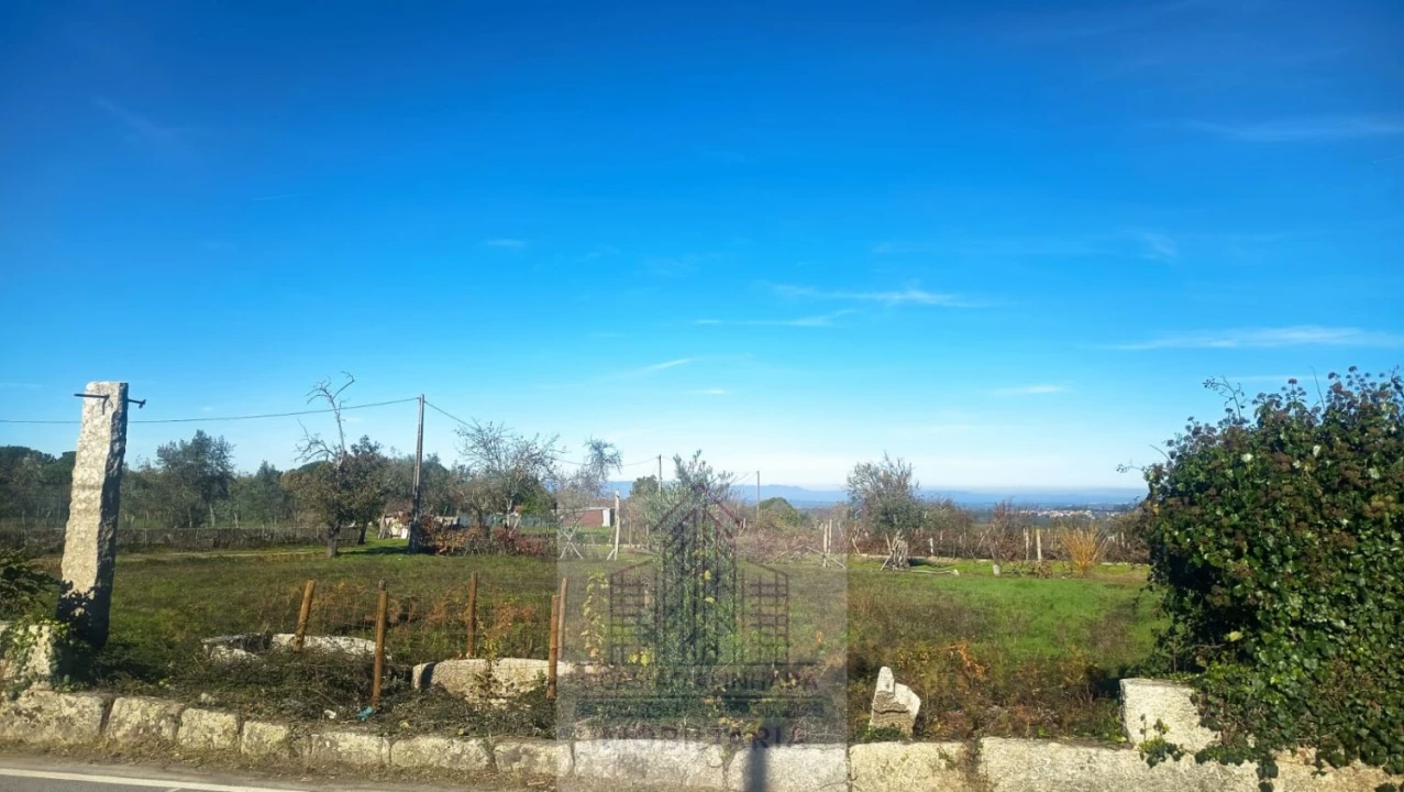 Terreno para Venda em Lagares Foto 6