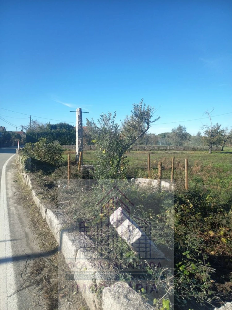 Terreno para Venda em Lagares Foto 10