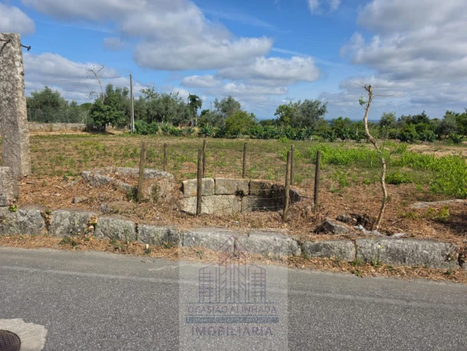 Terreno para Venda em Lagares Foto 4