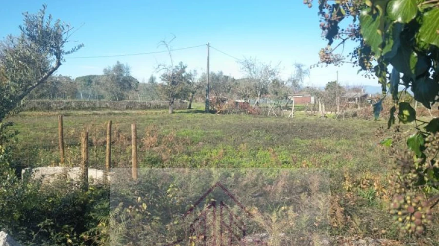 Terreno para Venda em Lagares