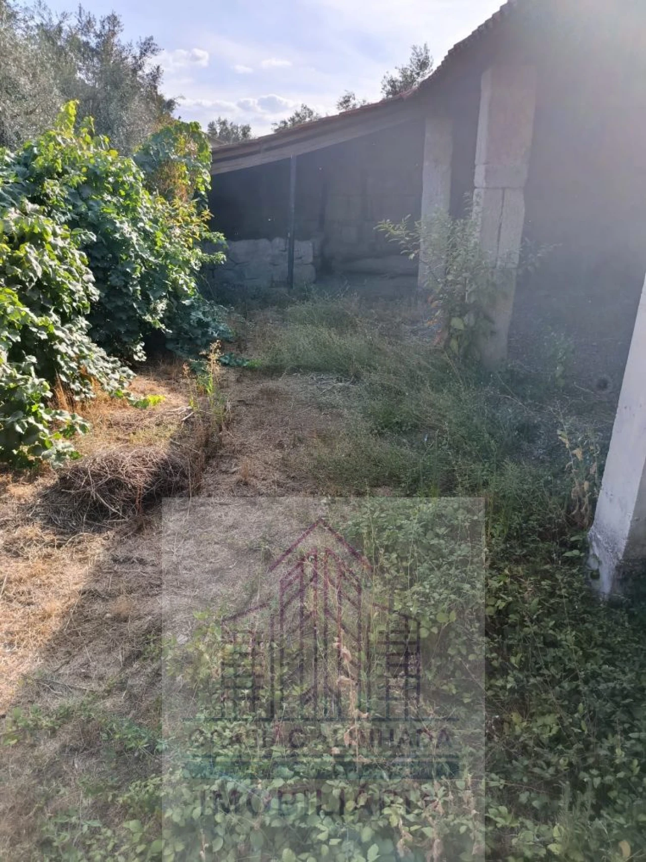 Moradia T3 para Venda em Seixo da Beira Foto 32