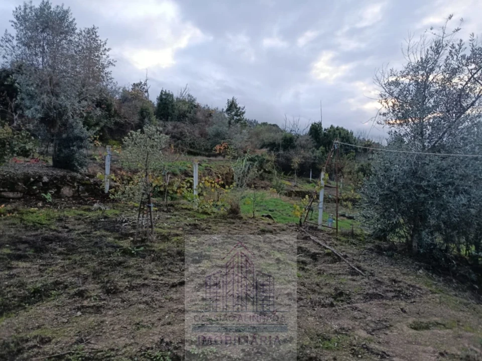 Terreno para Venda em Lagos da Beira e Lajeosa Foto 3