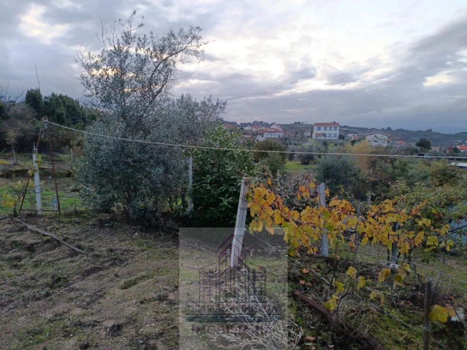 Terreno para Venda em Lagos da Beira e Lajeosa Foto 2