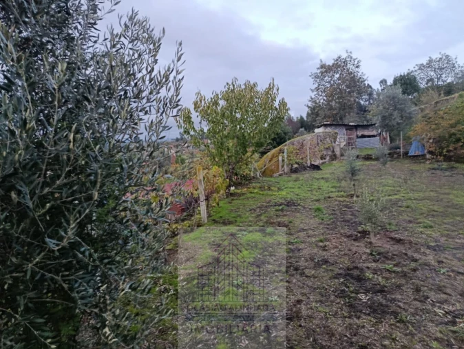 Terreno para Venda em Lagos da Beira e Lajeosa Foto 7
