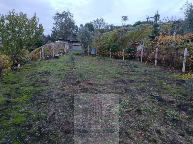 Terreno para Venda em Lagos da Beira e Lajeosa Foto 4