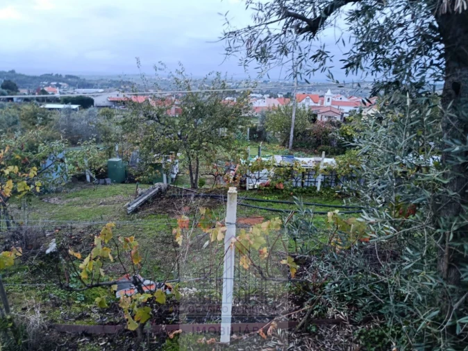 Terreno para Venda em Lagos da Beira e Lajeosa Foto 6