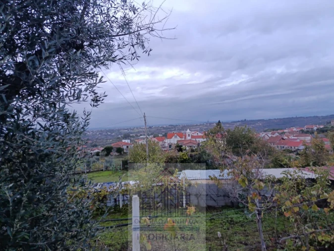 Terreno para Venda em Lagos da Beira e Lajeosa Foto 12