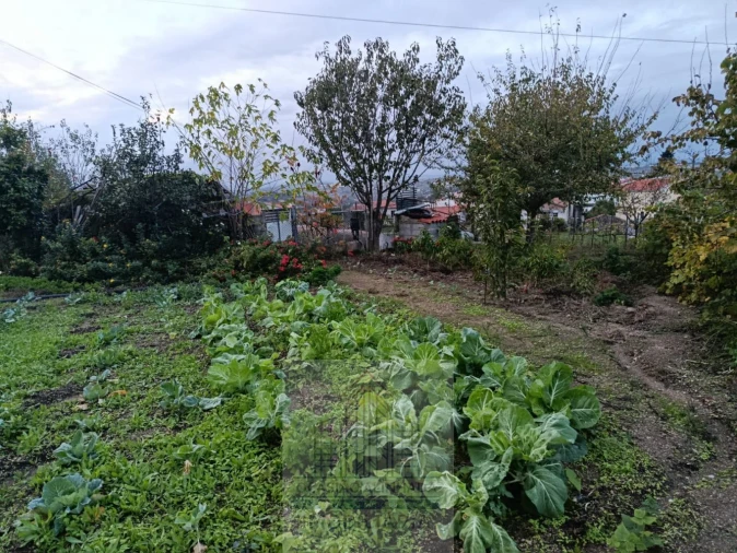 Terreno para Venda em Lagos da Beira e Lajeosa Foto 21