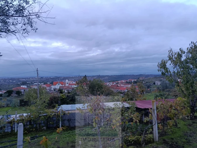 Terreno para Venda em Lagos da Beira e Lajeosa Foto 9