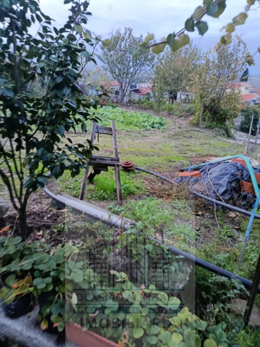 Terreno para Venda em Lagos da Beira e Lajeosa Foto 16