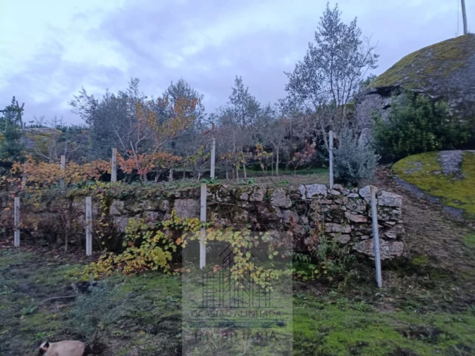 Terreno para Venda em Lagos da Beira e Lajeosa Foto 10