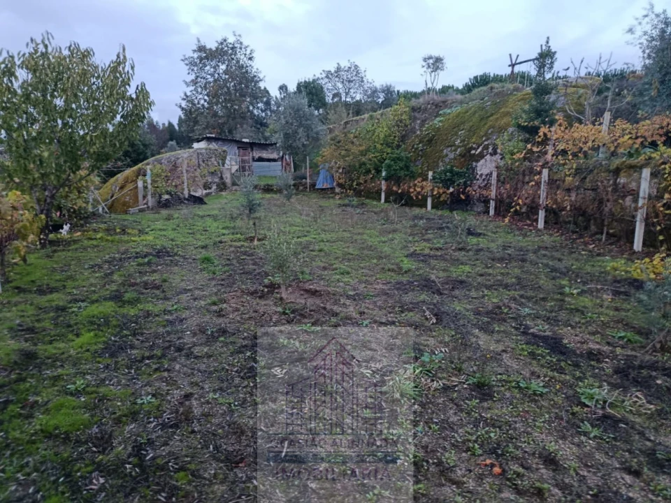 Terreno para Venda em Lagos da Beira e Lajeosa Foto 4