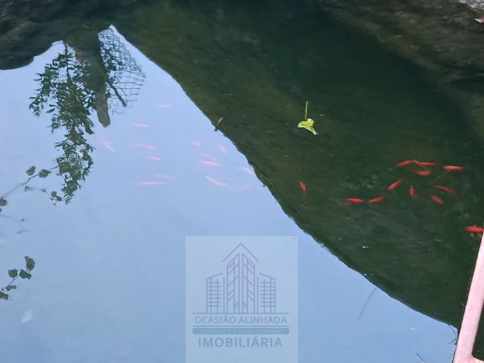 Terreno para Venda em Lagos da Beira e Lajeosa Foto 13