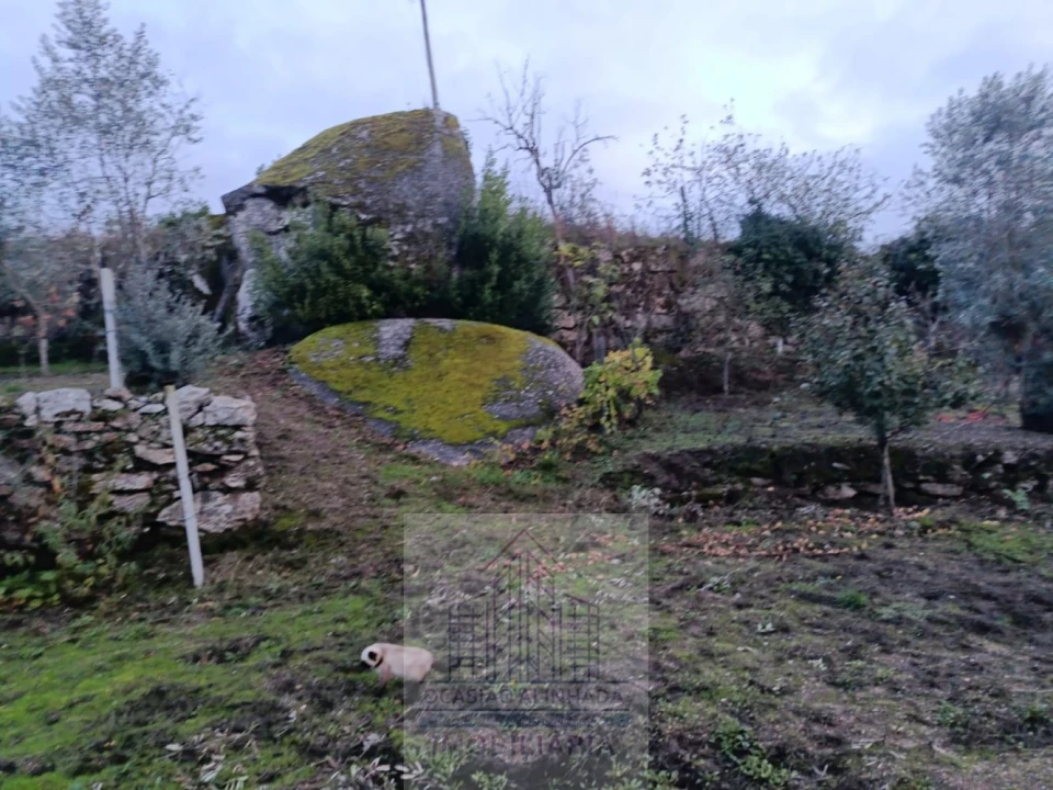 Terreno para Venda em Lagos da Beira e Lajeosa Foto 5