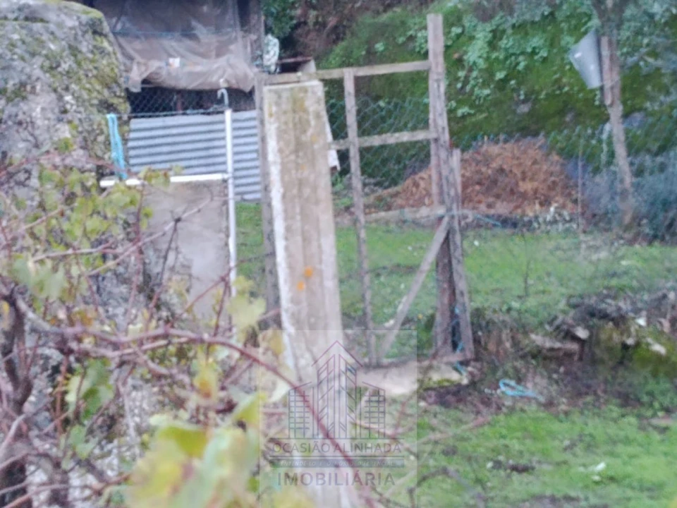 Terreno para Venda em Lagos da Beira e Lajeosa Foto 11